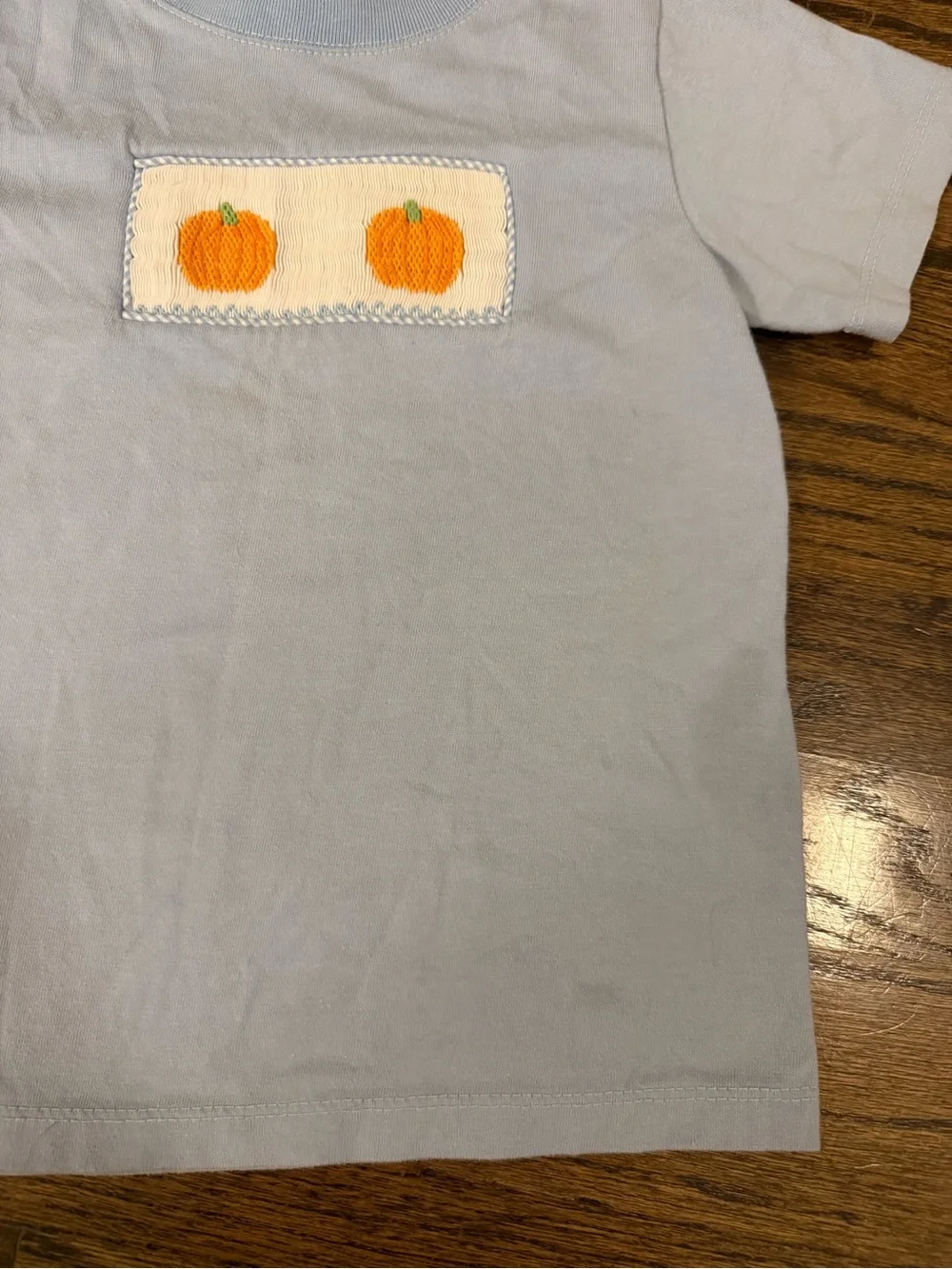 Light Blue shirt with smocked Pumpkins